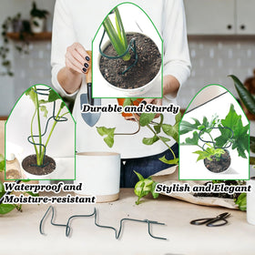 Mllpouyii helps keep stems neat and upright for tidy arrangements.