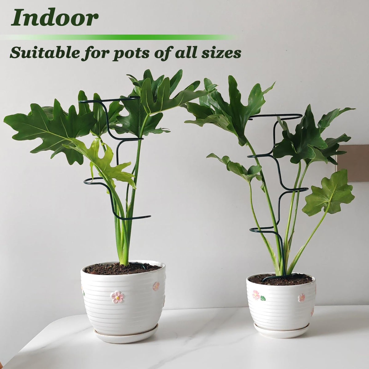 Mllpouyii 4-piece stakes with tripod base stabilize stems in wind.