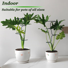 Mllpouyii 4-piece stakes with tripod base stabilize stems in wind.