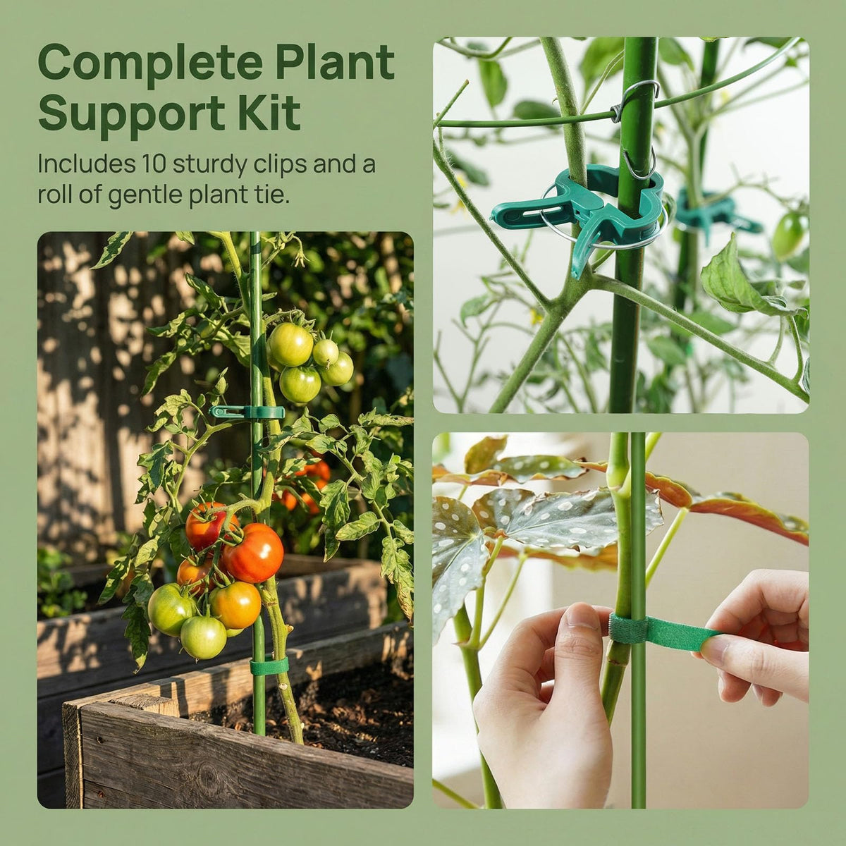 MM Megijaki tomato cage ideal for seedlings and small plants in pots.