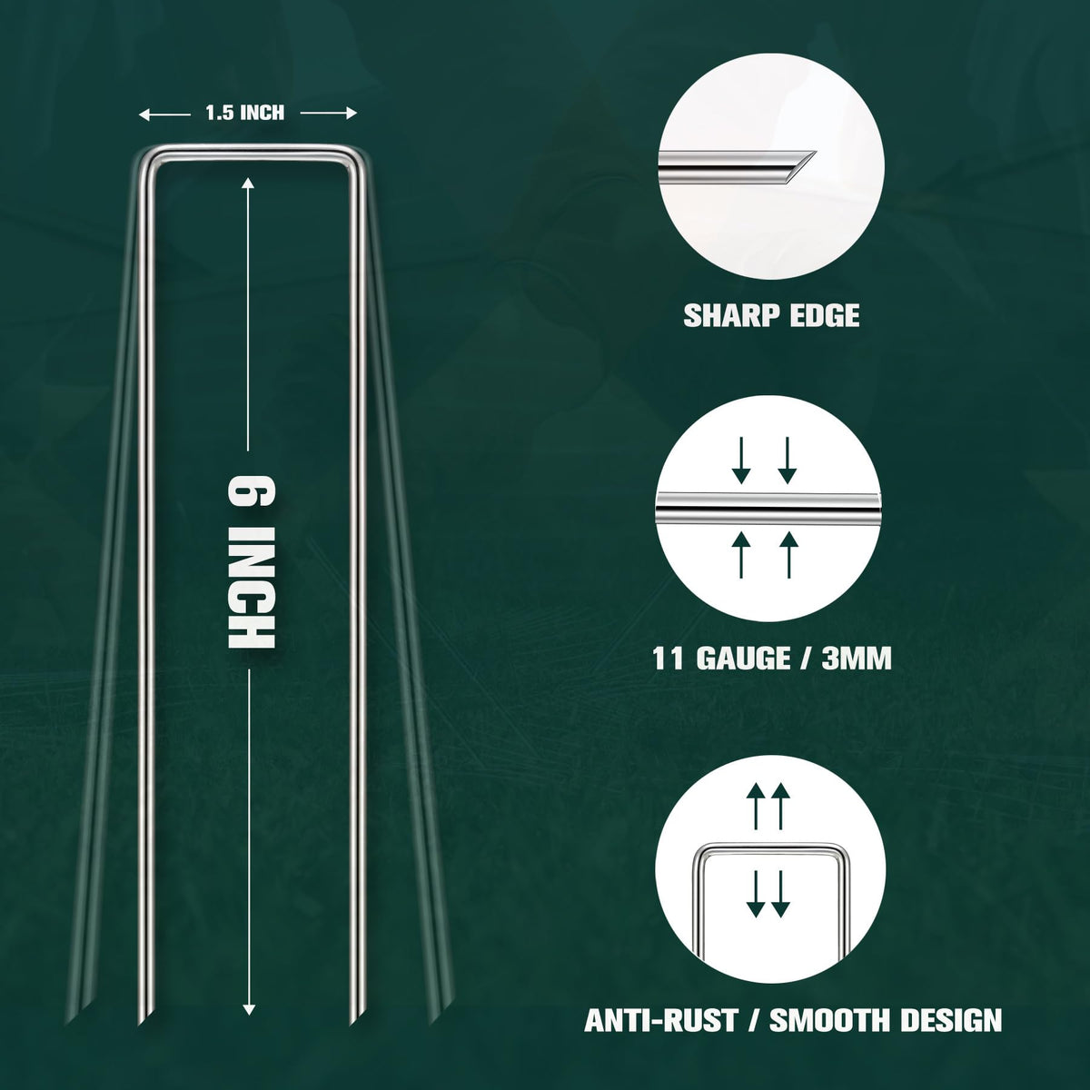Galvanized staples resist rust for stable tents and fencing.