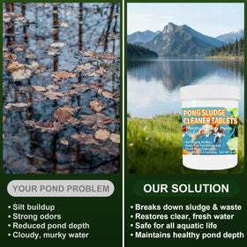 MMFVCL Muck Reducer improves pond water clarity.