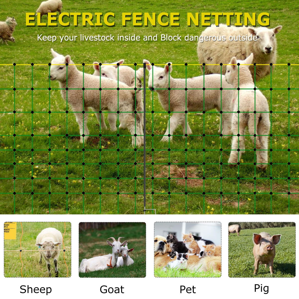 Backyard scene with dog and livestock protected by M MINGYA fence.