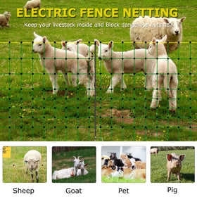 Backyard scene with dog and livestock protected by M MINGYA fence.