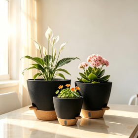 MNKXL 4-pack planter set displayed for indoor spaces