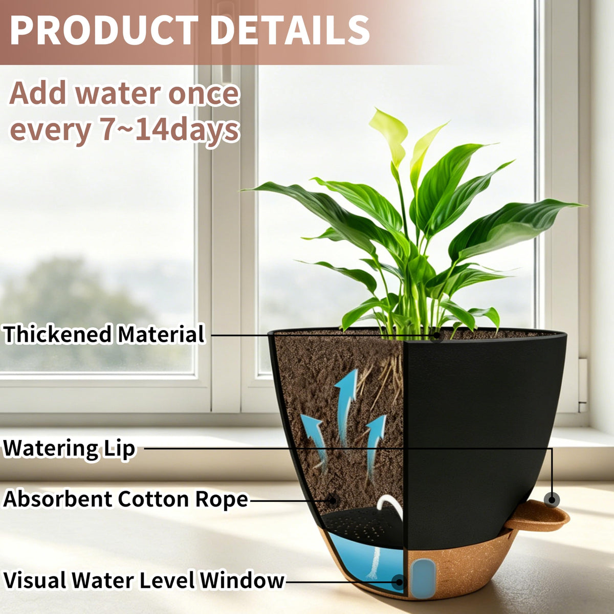 MNKXL 9-inch self-watering pot designed for herbs with steady moisture