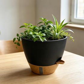 MNKXL side inlet and airflow design in self-watering pot