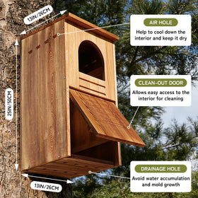 MOBYKE Screech Barred Owl House entrance detail highlighting arched opening for access.