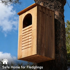 MOBYKE Screech Barred Owl House outdoor installation ready on a tree or post.
