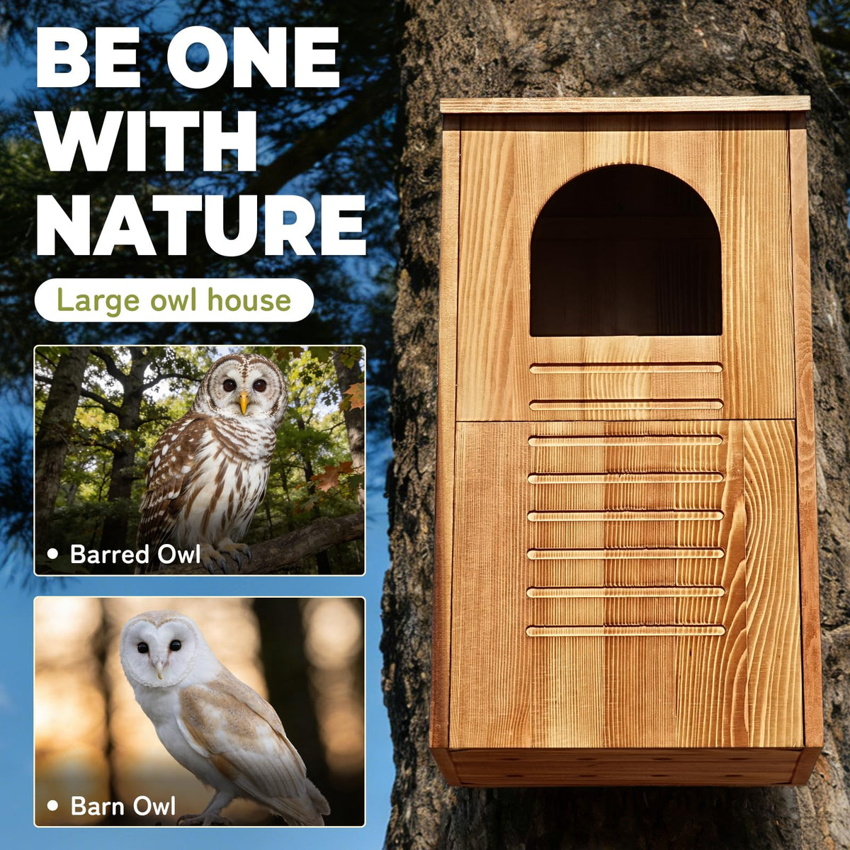 MOBYKE Screech Barred Owl House side view showing sturdy wooden exterior.