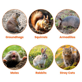 Moclever dimensions 24x7x8 inches suitable for various small animals