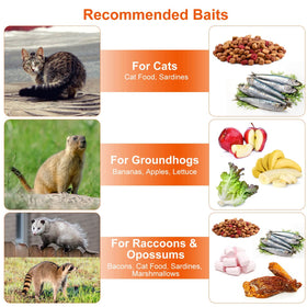 Moclever live animal trap top cover provides safe handling during transport