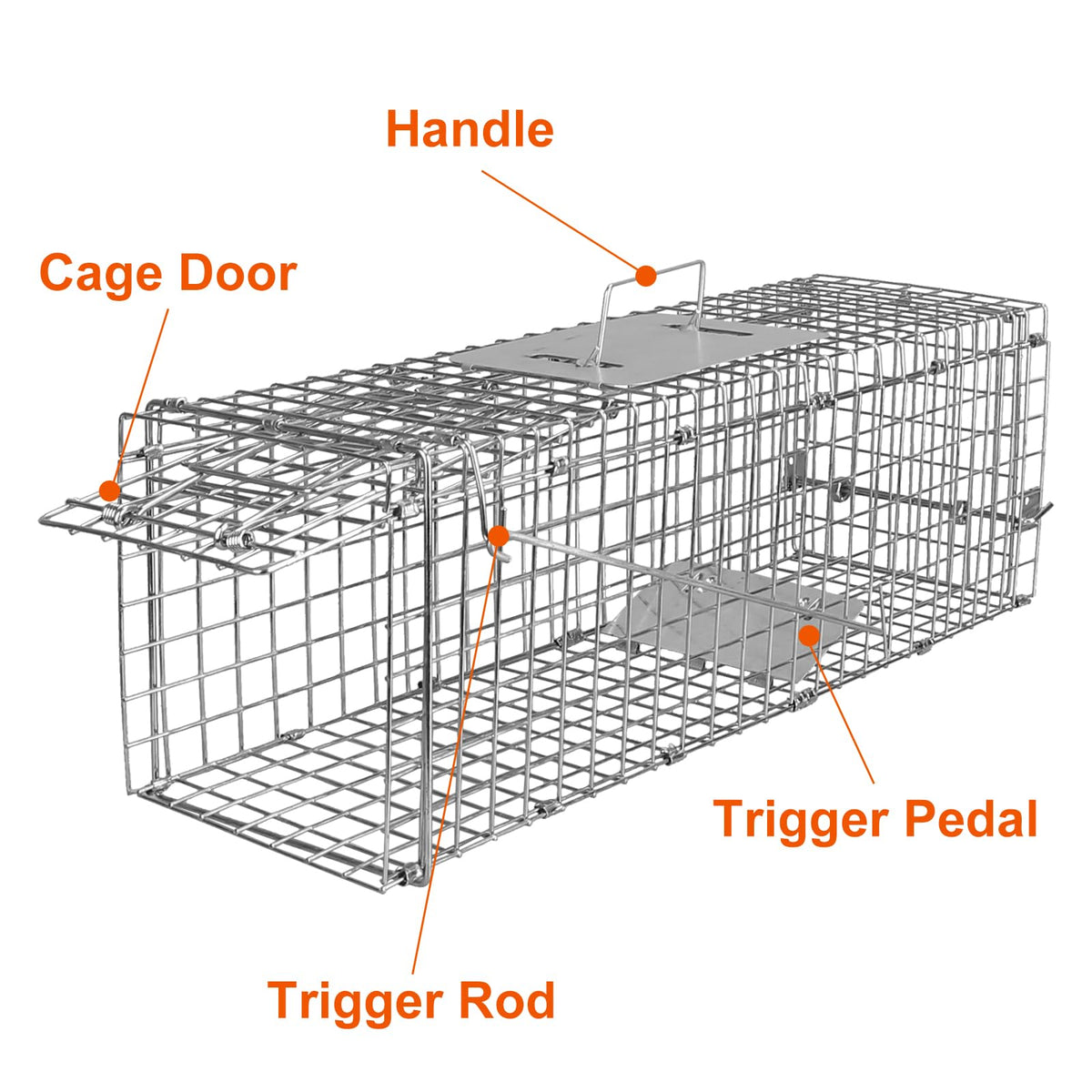 Moclever outdoor ready trap in use with no chemicals needed