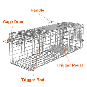 Moclever outdoor ready trap in use with no chemicals needed
