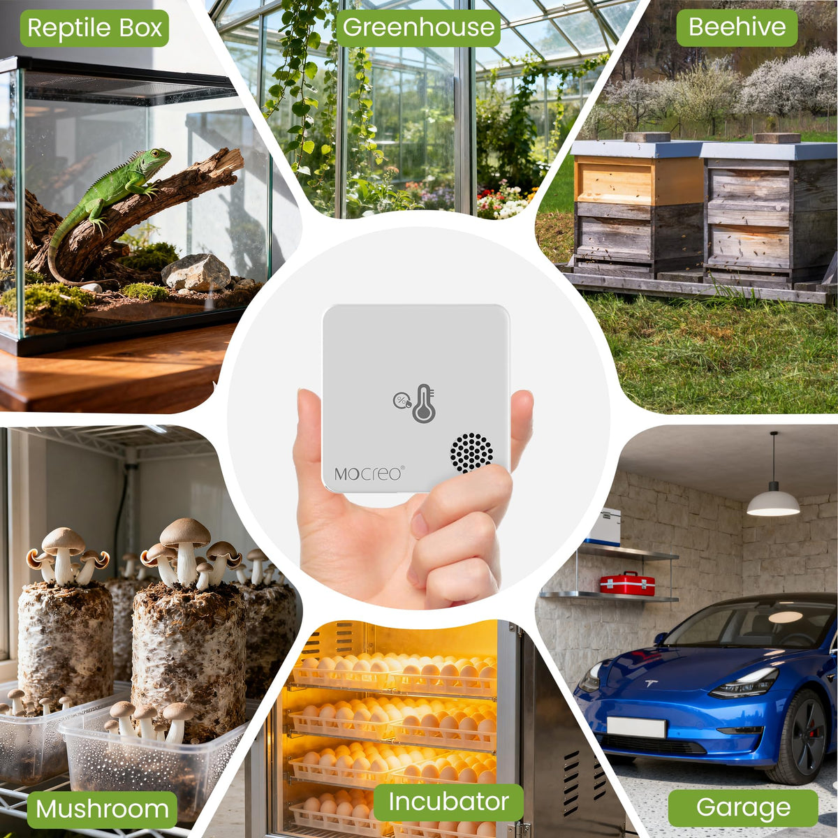MOCREO quick setup guide helps you start monitoring in minutes.