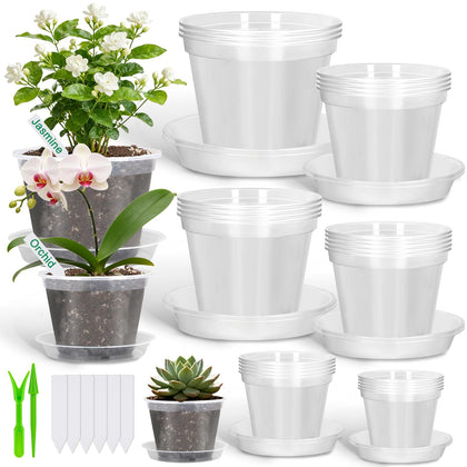 Modacraft clear nursery pot 3-1-inch for easy root monitoring and moisture control.
