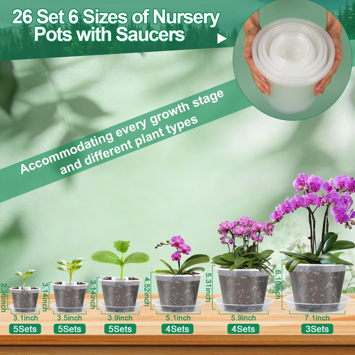 Modacraft clear nursery pot 3-9-inch provides visibility for moisture checks.