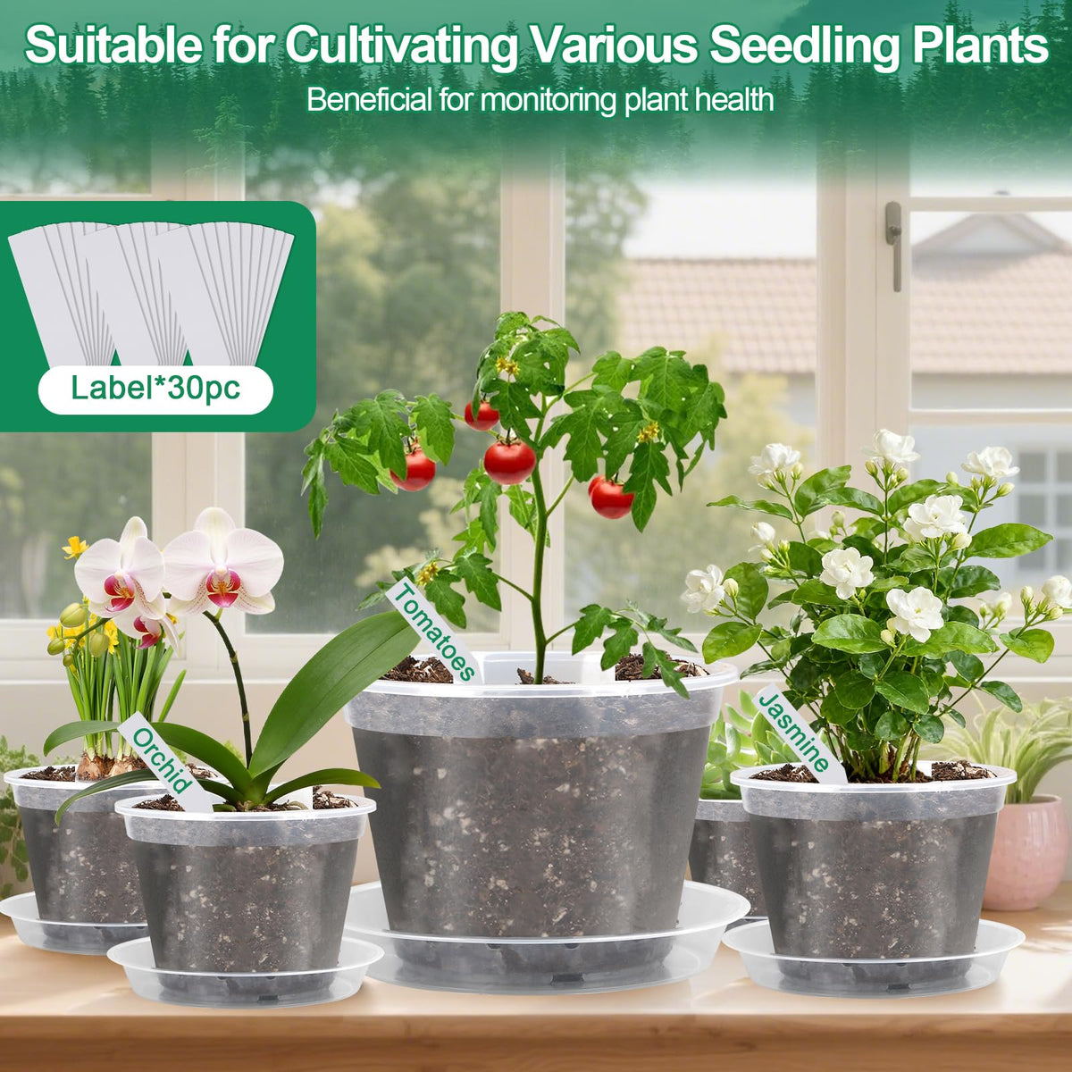 Modacraft clear nursery pot 7-1-inch supports larger plants with tidy setup and saucers.