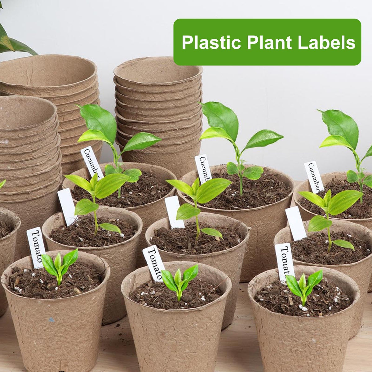 ModaSin seedling tags with dual writing surfaces for flexible labeling.