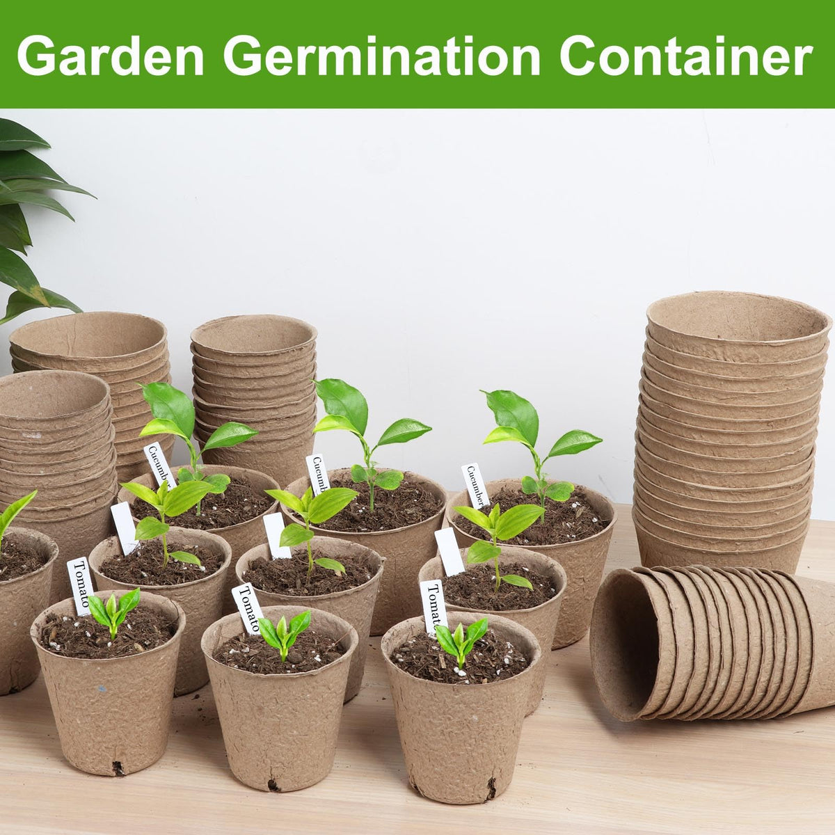 ModaSin biodegradable pulp pots break down into nutrients for seedlings.