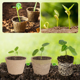 ModaSin small plant pots for indoors and outdoors, versatile seedling starter.