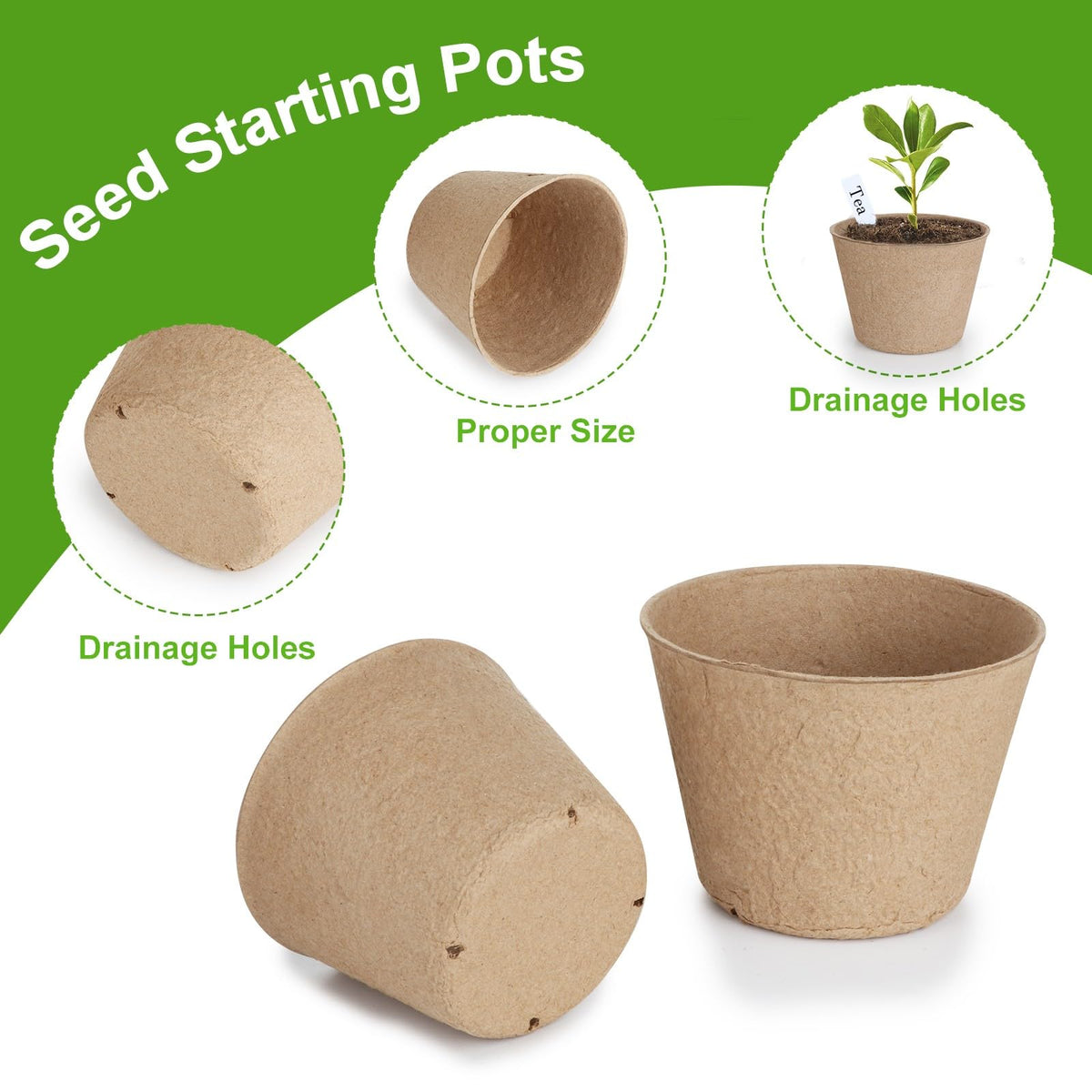 ModaSin seedling pots drainage holes promote airflow and prevent overwatering.