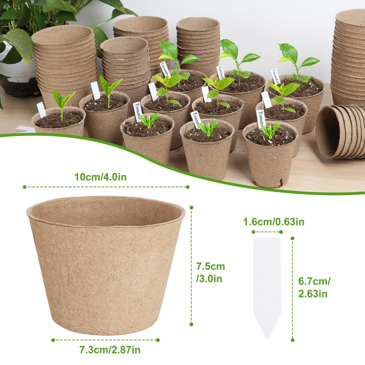 ModaSin transplant-friendly pots allow whole-pot planting to minimize root disturbance.