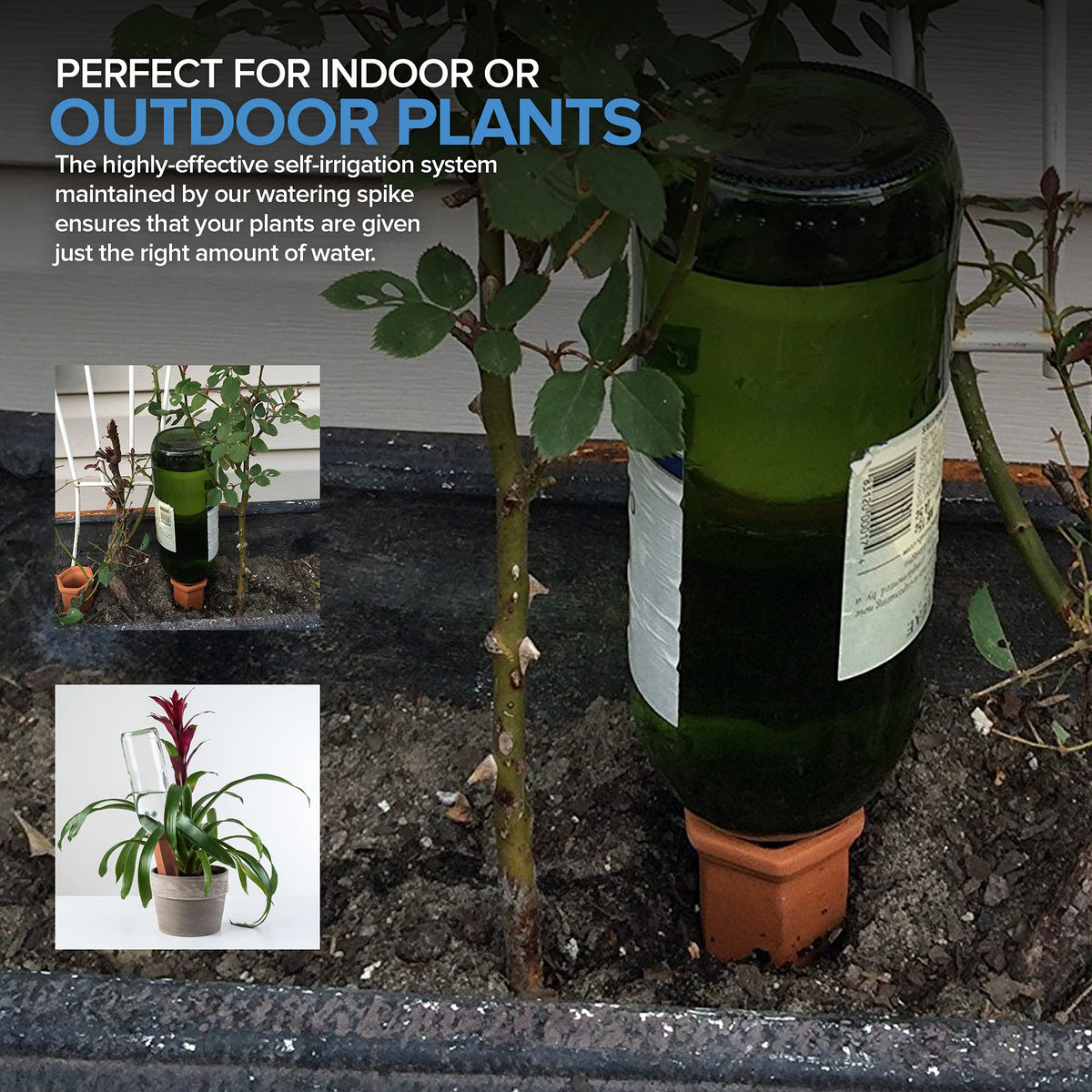 Garden setup with multiple plants using Modern Innovations terracotta spikes