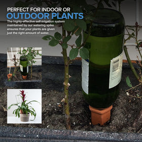 Garden setup with multiple plants using Modern Innovations terracotta spikes