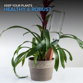 Eco-friendly Modern Innovations watering spikes designed for vacation watering and care