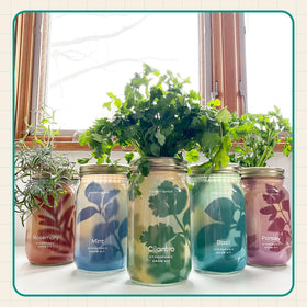 Coaster included to protect surfaces during watering