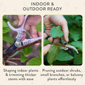 Modern Sprout pruner cleanly cuts small branches up to half an inch.