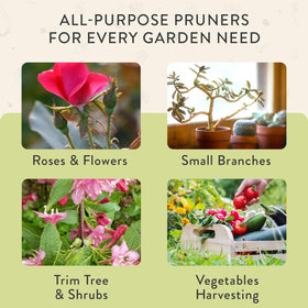 Modern Sprout pruner packaging includes a reusable holster for storage.