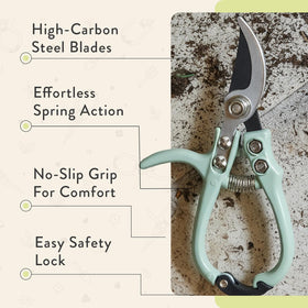 Modern Sprout pruner precision tip excels on delicate stems like roses.