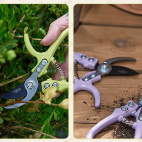 Modern Sprout pruner rust-resistant carbon steel for outdoor use.