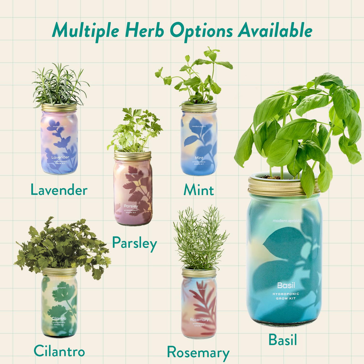 Compact indoor herb garden fits desks and countertops beautifully