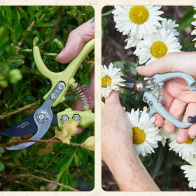 Modern Sprout lightweight garden tools for comfortable use