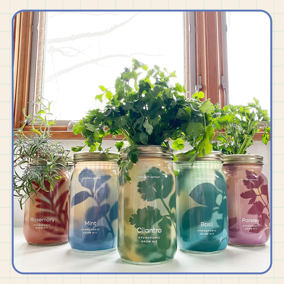 Modern Sprout Mason Garden Jar starter kit includes reusable pot and coaster.