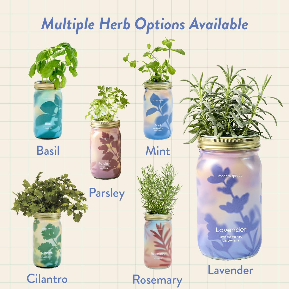 Modern Sprout Mason Garden Jar gift-ready packaging for plant lovers.