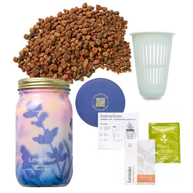Modern Sprout Mason Garden Jar lavender seeds ready for indoor herb growing.