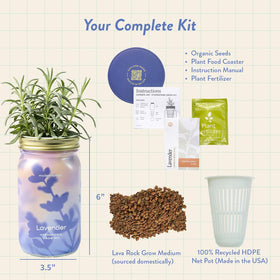 Modern Sprout Mason Garden Jar removable sleeve fits modern living spaces.