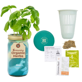 Modern Sprout Mason Garden Jar on display as an elegant self watering indoor herb system