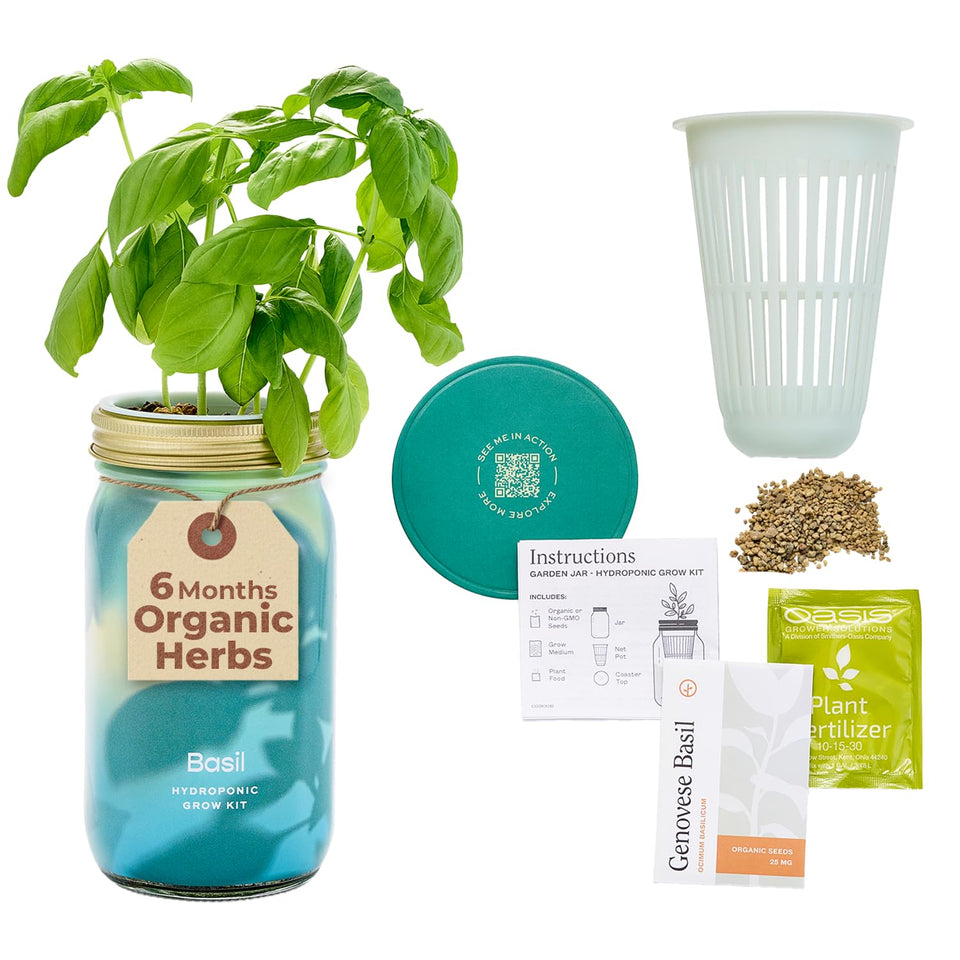 Modern Sprout Mason Garden Jar on display as an elegant self watering indoor herb system