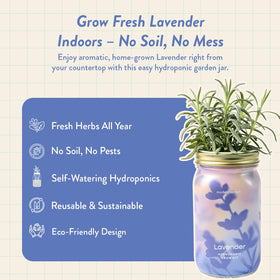 Modern Sprout Mason Garden Jar self-watering system in action for indoor herbs.
