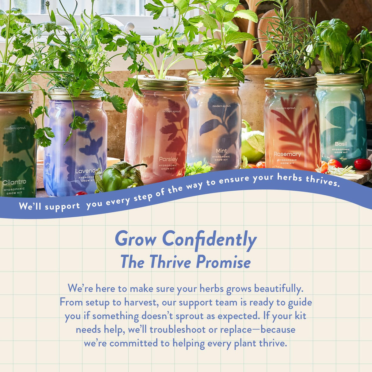 Modern Sprout Mason Garden Jar quick sprouting lavender option.