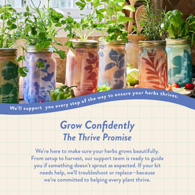 Modern Sprout Mason Garden Jar quick sprouting lavender option.