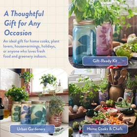 Modern Sprout Mason Garden Jar compact unit for desks and shelves.