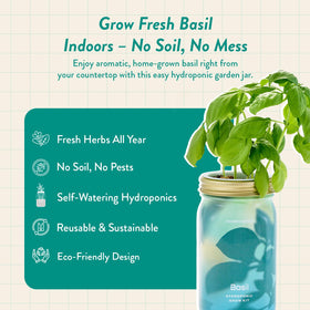 Organic basil seeds from Modern Sprout ready for indoor growth