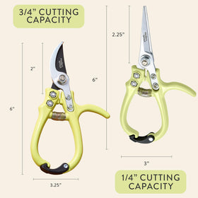 Modern Sprout chartreuse set ready for indoor and outdoor pruning