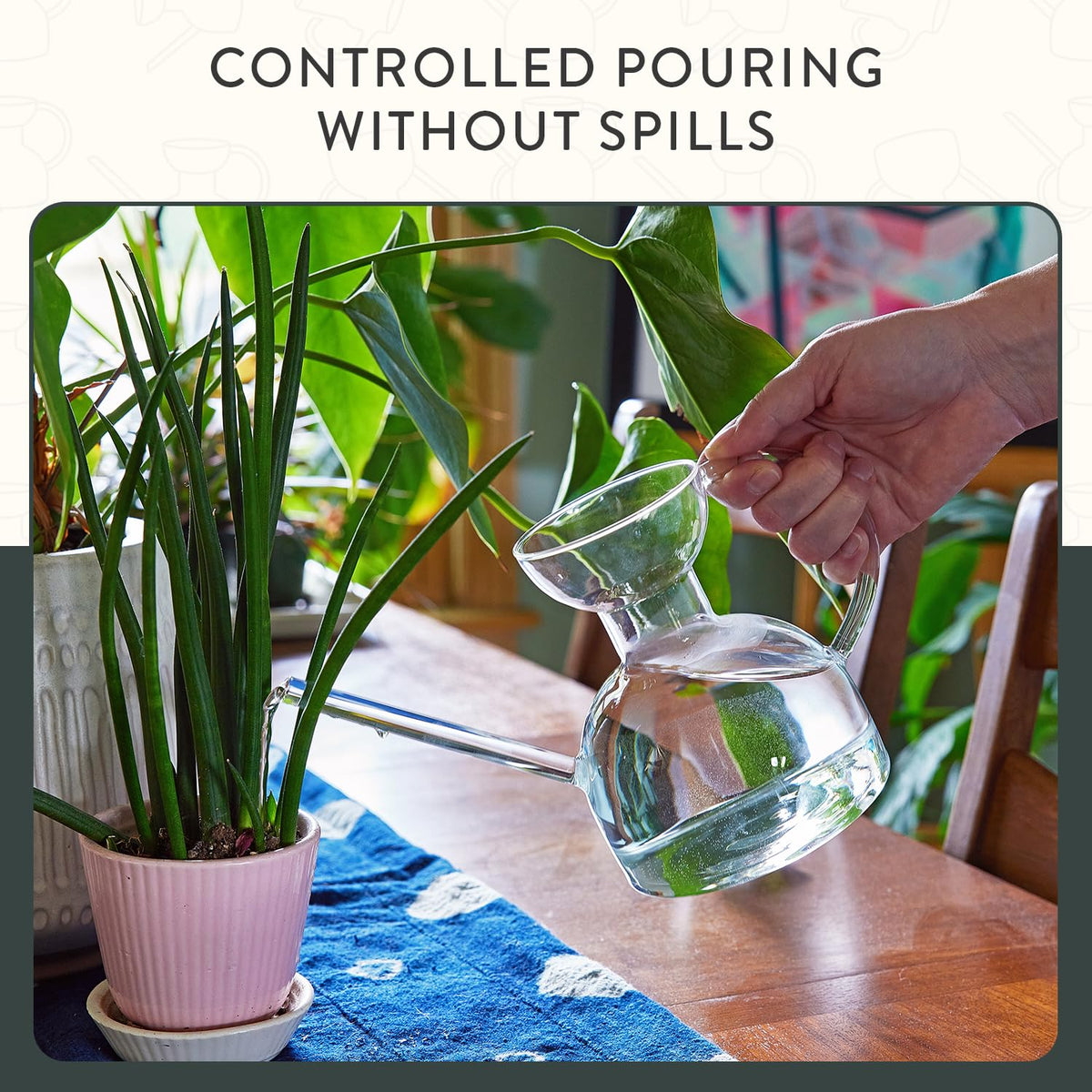 Perfect gift idea for plant lovers and Mother’s Day celebrations.